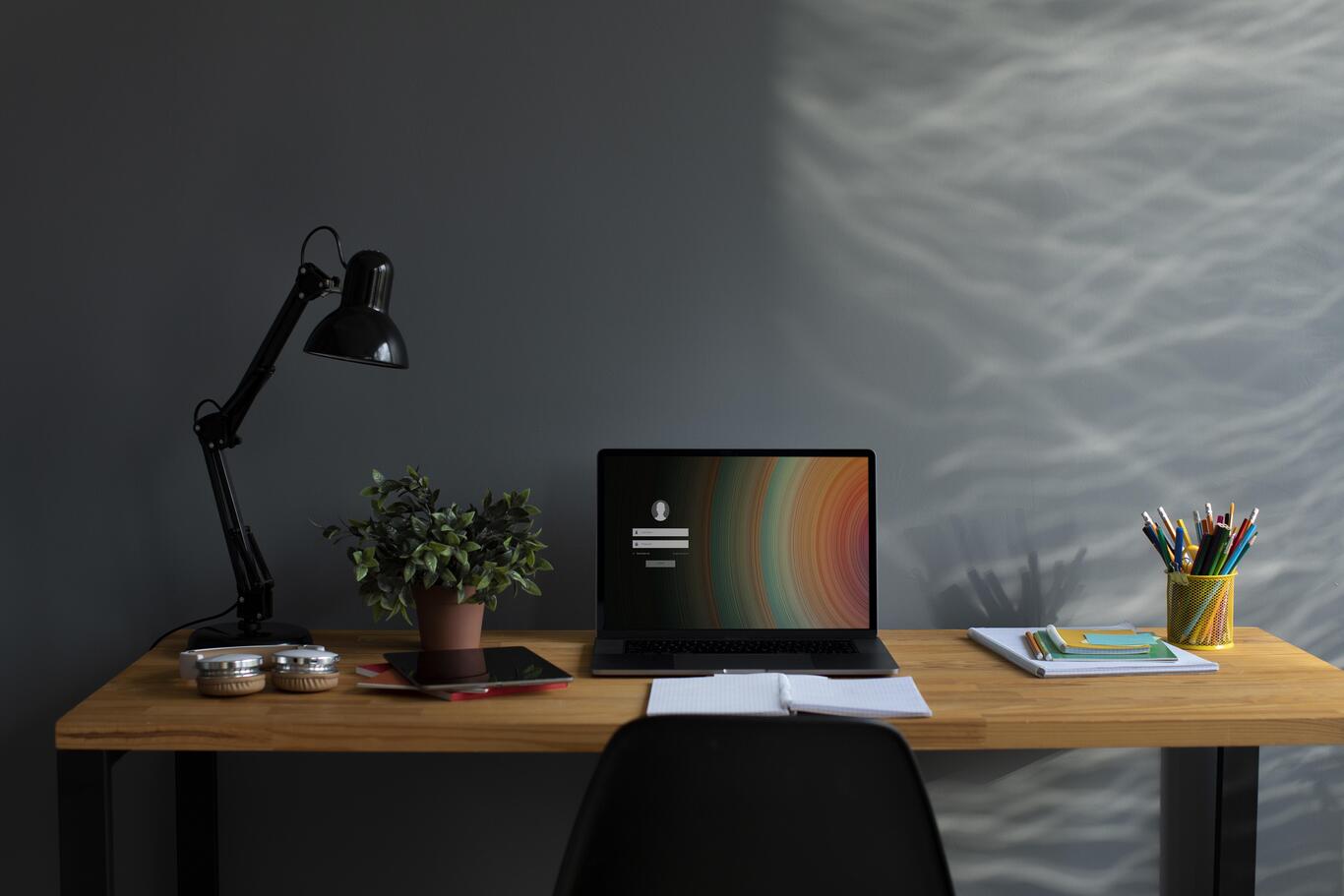 Modern Home Office Setup